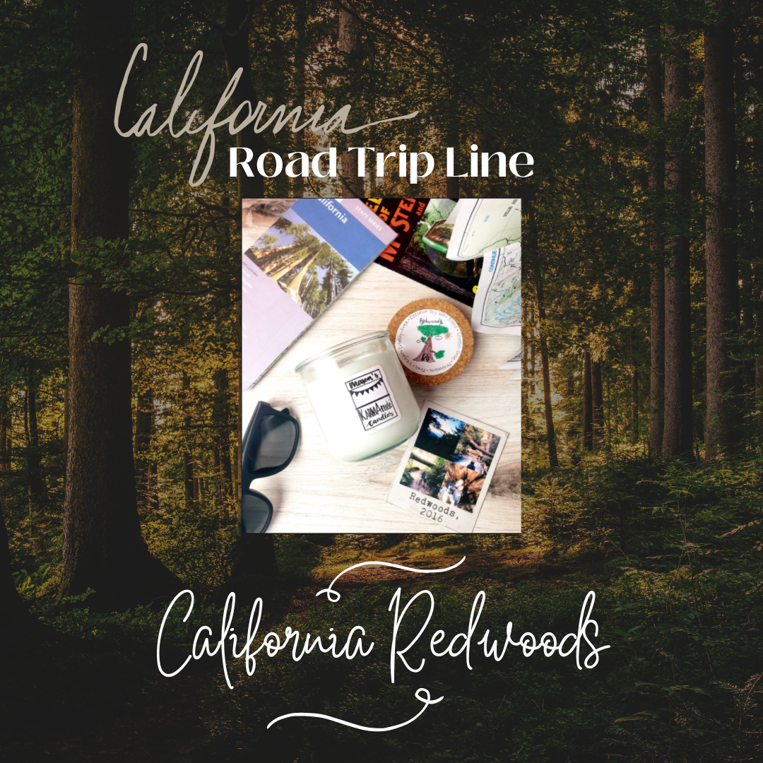 Photo of California Redwoods Karmatude candle in clear glass jar with cork lid surrounded by trees, maps and sunglasses.